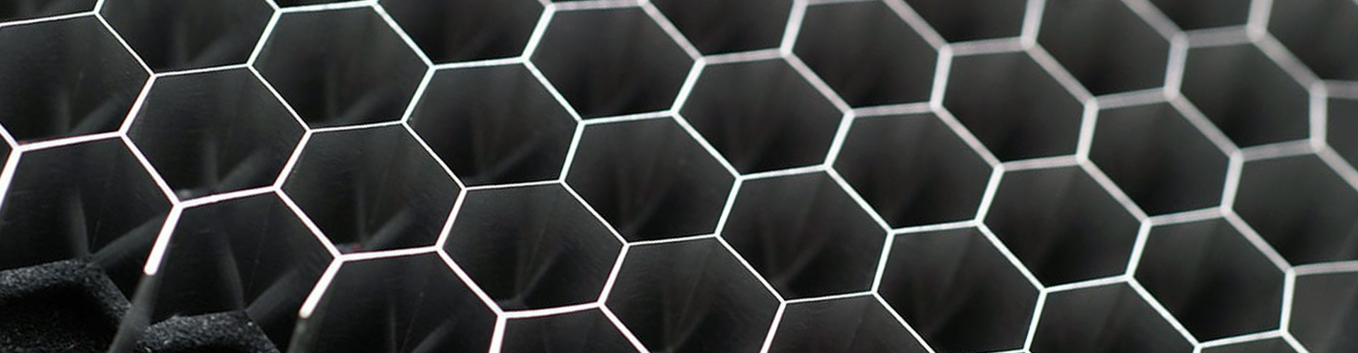 pg电子游戏试玩集团（LSI）