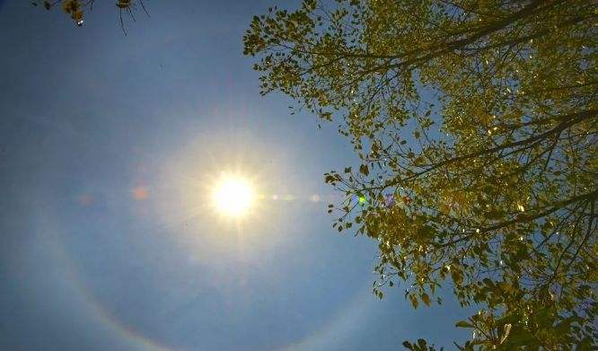 pg电子游戏试玩(中国)官方网站