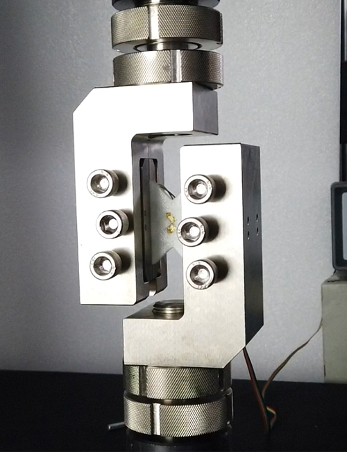 pg电子游戏试玩(中国)官方网站